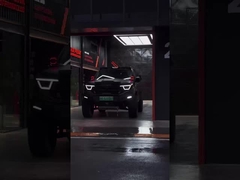 385Nm 185KW 252Ps 4WD 5 miejsc 5 drzwi 2.0T Zbiornik 400 SUV Benzyna Paliwo Nowy samochód